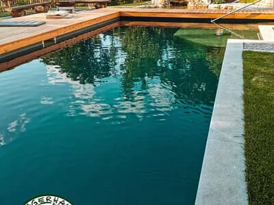 Naturpools & Schwimmteiche Bild 20