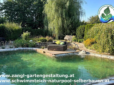 Naturpools & Schwimmteiche Bild 29