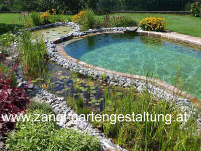 Naturpool Schwimmteich